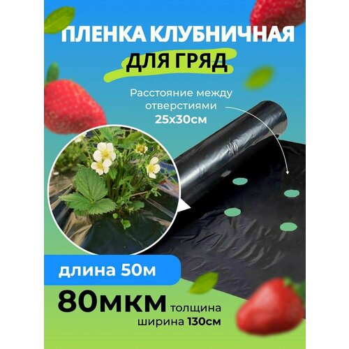 ������ ������ ����� ��� ���������� ������ ����