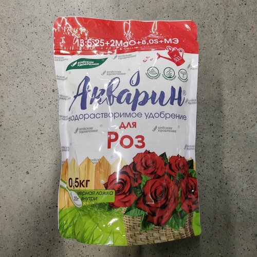 ������ ������ ��������� ������� 