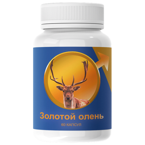 ������ ������ ������� ����� ������� ��� ��������� ������� �������� ����