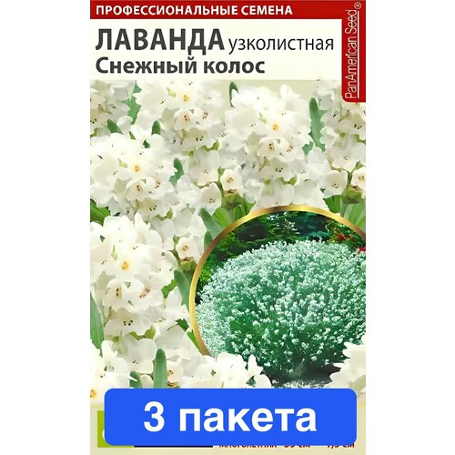 ������ ������ ����� ������� ������� ����� ���������� 3 ������ ����