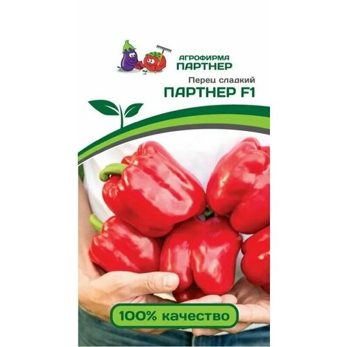 ������ ������ ����� ������� ������� ������ ������� (1 ��������-5 �� �����) ����