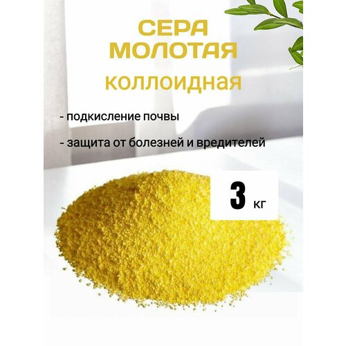 ������ ������ ���� ������� 3 �� ����