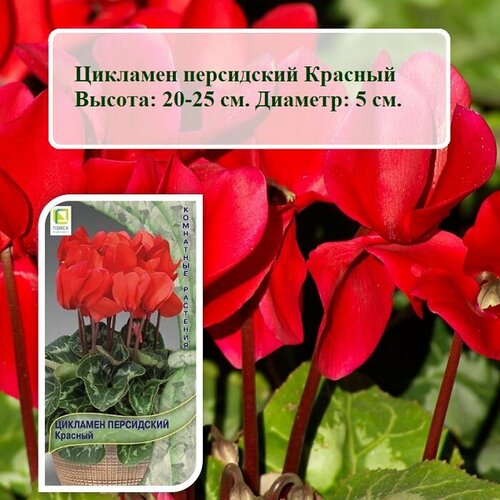 ������ ������ ������ ������ �������� ���������� ������� (2 ��. �����) ����