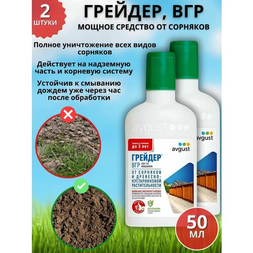 ������ ������ ������ �������� �������� �� �������� �������, ��� 50 �� 2 �� ����