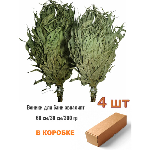 ������ ������ ����� ��� ���� ������������ 4 �� ����