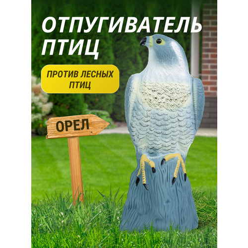 ������ ������ ������������ ���� ���� ����