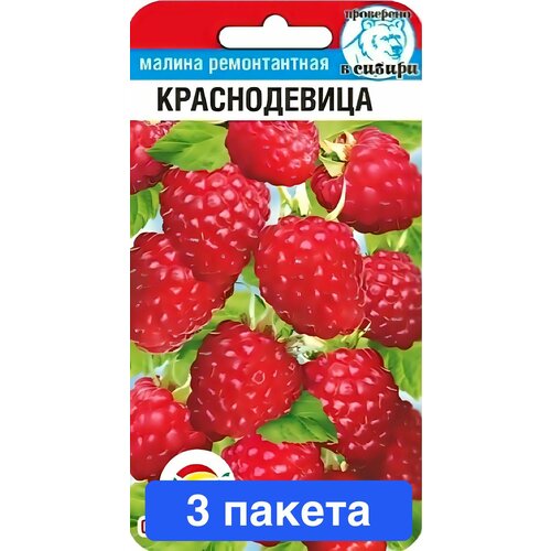 ������ ������ ������ ������ ��������� ��� 