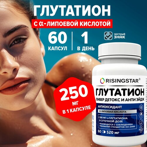 ������ ������ ��������� �����-�������� �������, 500�� ����