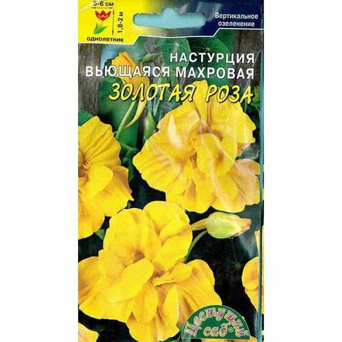 ������ ������ ������ ��������� ������� ����, ��������, ����������, (�������� ���) 1,5� ����