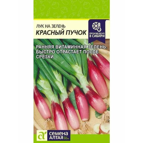 ������ ������ ��� �� ������ 