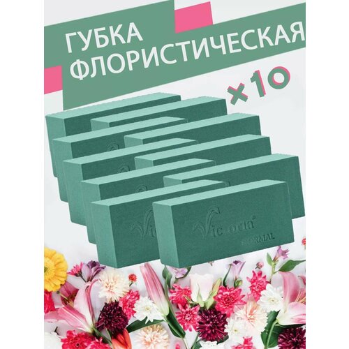 ������ ������ ����� �������������� (������, ����), 23 � 11 � 7,5 ��, 10 ���� ����