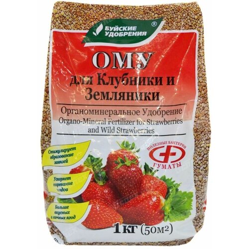 ������ ������ ��������� ��� 