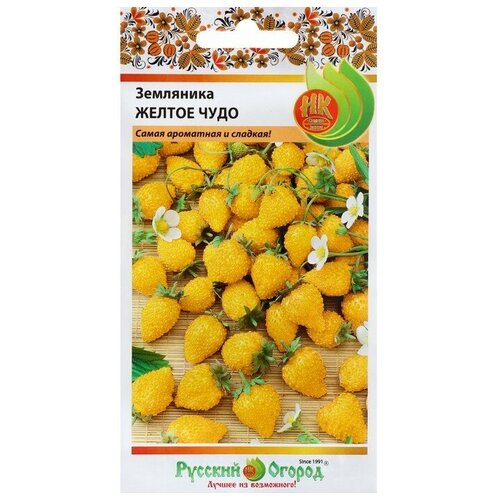 ������ ������ ������ ��������� 