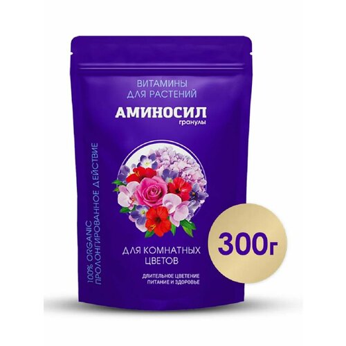 ������ ������ ��������� ��������������� �������� ��� ��������� ������, 300�� ����