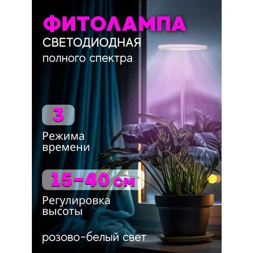 ������ ������ ��������� ������� ������� ��� �������� � �������� ����