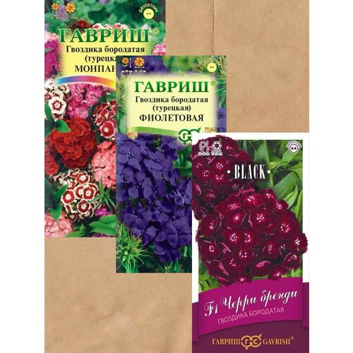 ������ ������ ������ �������� ��������� (��������) ������ 3 ��.+ �������! ����