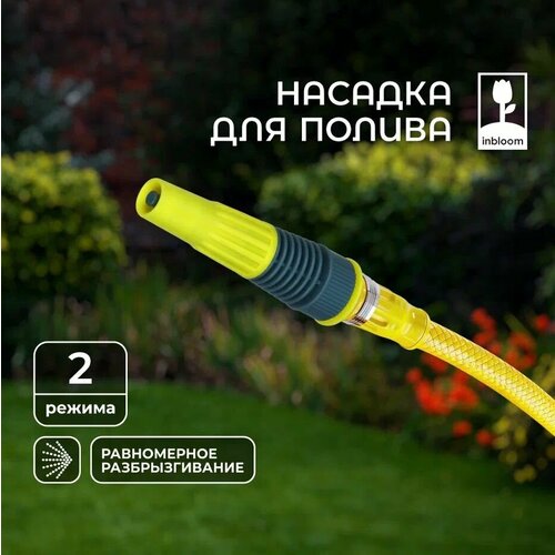 ������ ������ ������� �� ����� ��� ������, INBLOOM, 2 ������, 1-3/4