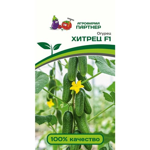 ������ ������ ������ ������ 