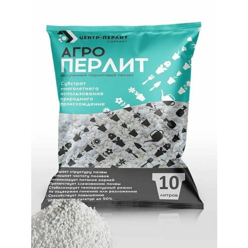 ������ ������ ���������� �-100 10 ������ ����