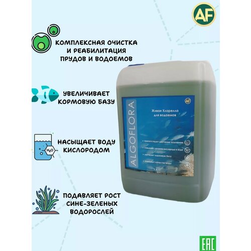 ������ ������ �������� ��� ������� ������ � �������� 5 ������ ����