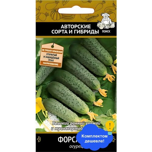 ������ ������ ������ ����� ������ ������ F1 12 ��. ����