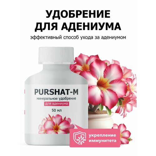 ������ ������ ��������� ��� �������� ���������� ������-� 50 �� ����