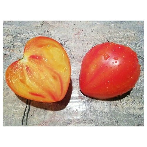 ������ ������ ������������� ������ ������ ������ ������� ��������� ����