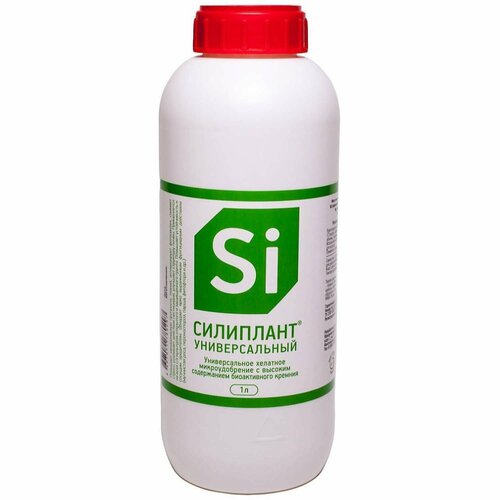 ������ ������ ��������� 1� ������������� ��������� ����