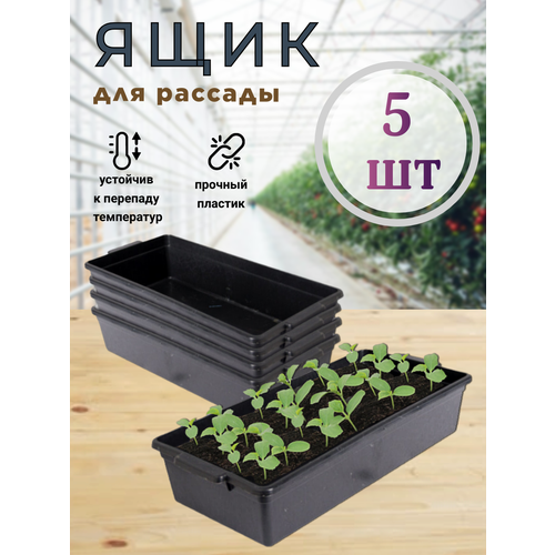 ������ ������ ����� ������ ��� �������, 5 ��, 43*20*10 �� ����