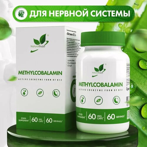 ������ ������ �������������� ������� �12 NATURALSUPP Vegan Methylcobalamin Vitamin B-12 (60 ������) ����