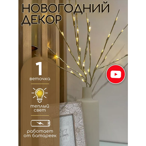 ������ ������ ����� ��� ������ ������������ ���������� ����