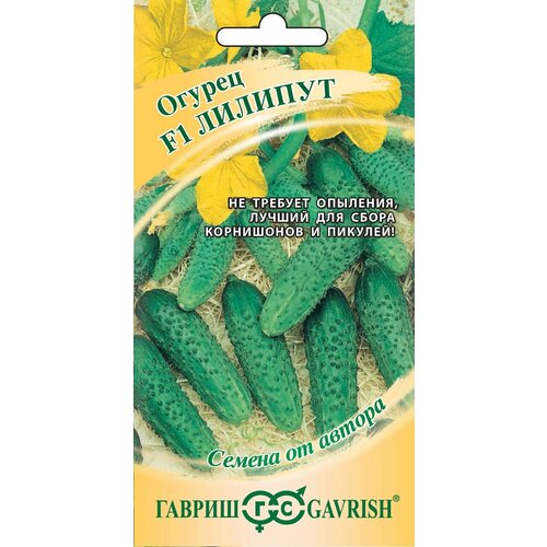 ������ ������ ������ ������ ������� F1, 10��, ������, ������ �� ������ ����