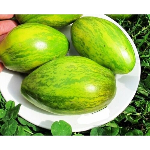 ������ ������ ���� ������� ����� ������ ������� ����