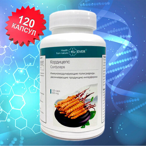 ������ ������ ��������� (Cordyceps) �������� � ��������, 120�� ����