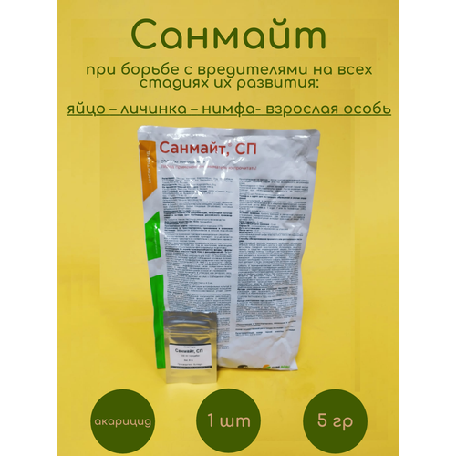 ������ ������ �������� ������� 5 �� ����