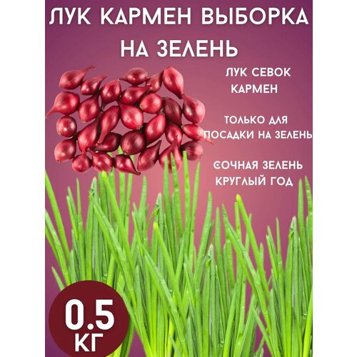 ������ ������ ��� ������ �� ������ 0,5�� ����