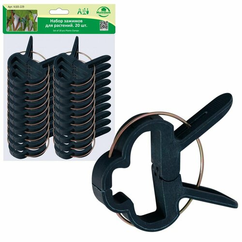 ������ ������ ����� ������� ��� �������� �������� 20 ���� ����