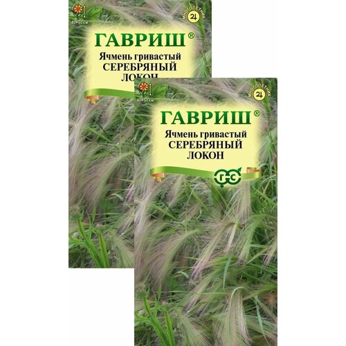 ������ ������ ������ ��������� ���������� ����� (0,1 �), 2 ������ ����