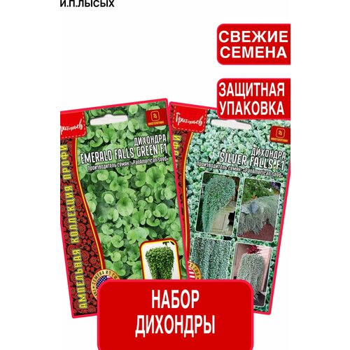 ������ ������ ����� ����� �������� ����