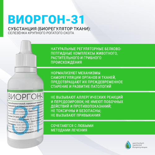 ������ ������ �������-31 ���������������. ������������ ������������ ����������� � ��������. ����