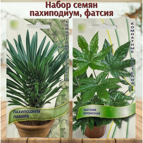 ������ ������ ������ ����������� ��������� �������� ���������� � ������ 2 ��. ����