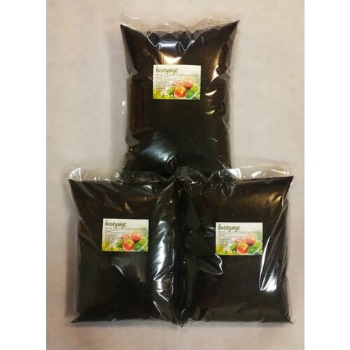 ������ ������ ����� ��������� ������ ���������� ����