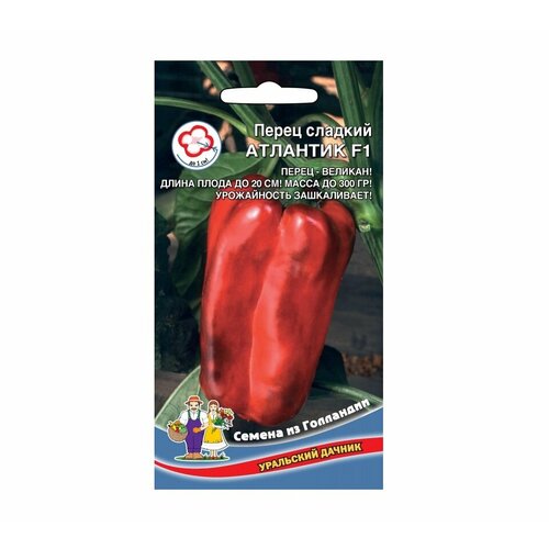 ������ ������ ������ ����� �������� F1 10�� (8-10��) ������ (��������� ������) ����