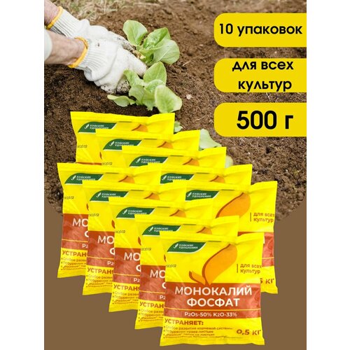 ������ ������ ��������� ��������������� (���������� �����), 5000 �� ����