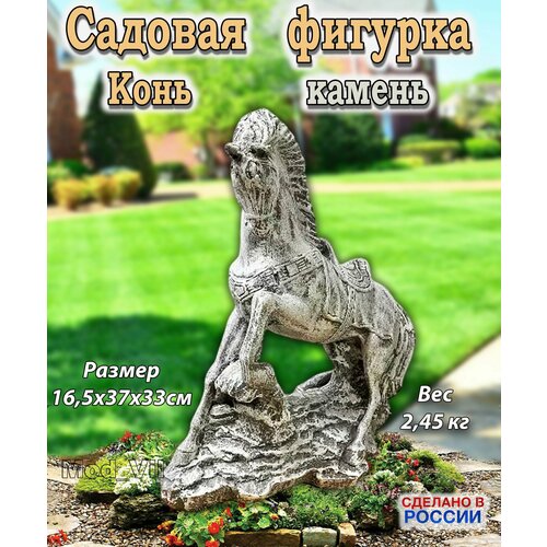 ������ ������ ������� ������� ���� (������), ����� ��� ����, ���� � ������� ����