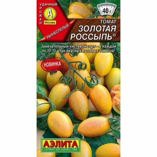 ������ ������ ������ ����� ������� �������, ������������, �����������, (������) 20�� ����