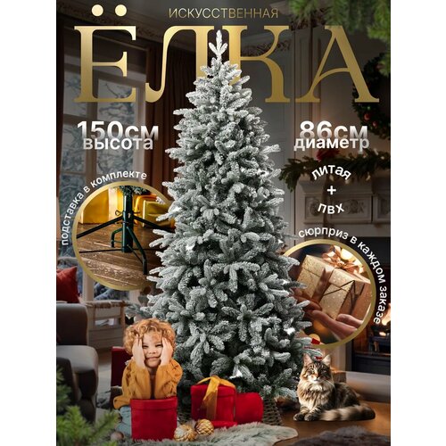 ������ ������ ������������� ���� 150 �� ����������� ����