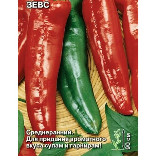 ������ ������ ������������� ������ ����� �������� ���� ����