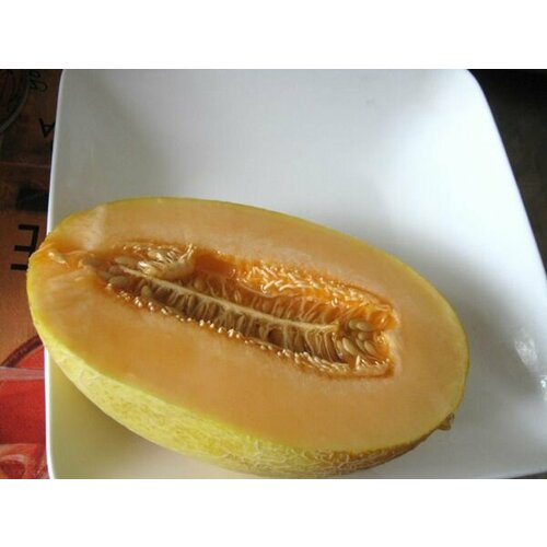 ������ ������ ������������� ������ ���� ������ ������ ����