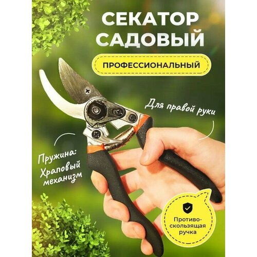 ������ ������ ������� ������� �������� ������������� ���������������� ��� ���� ������� � ���� ����